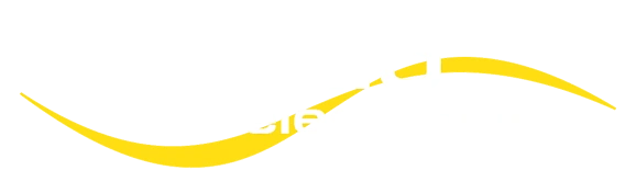 Audioelectronic