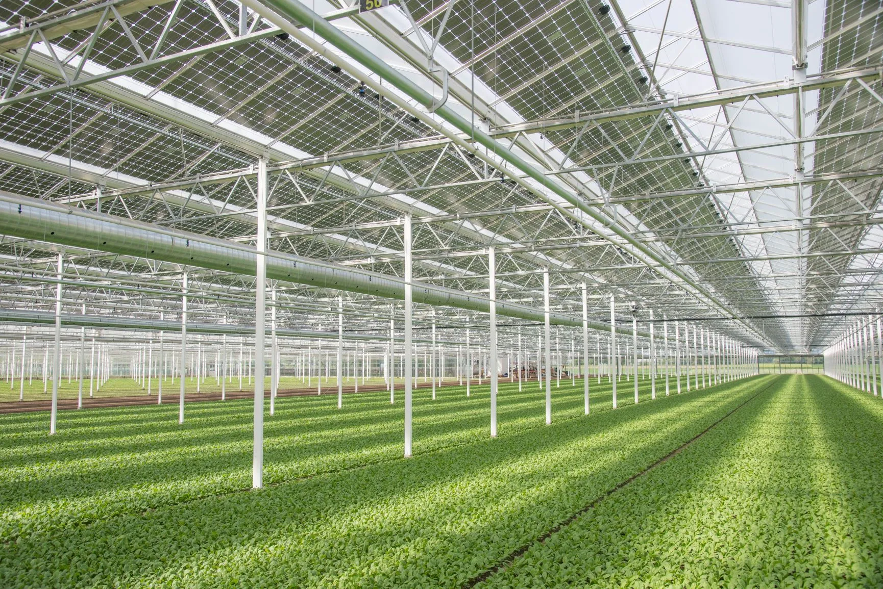 PV-Anlage Swissradies