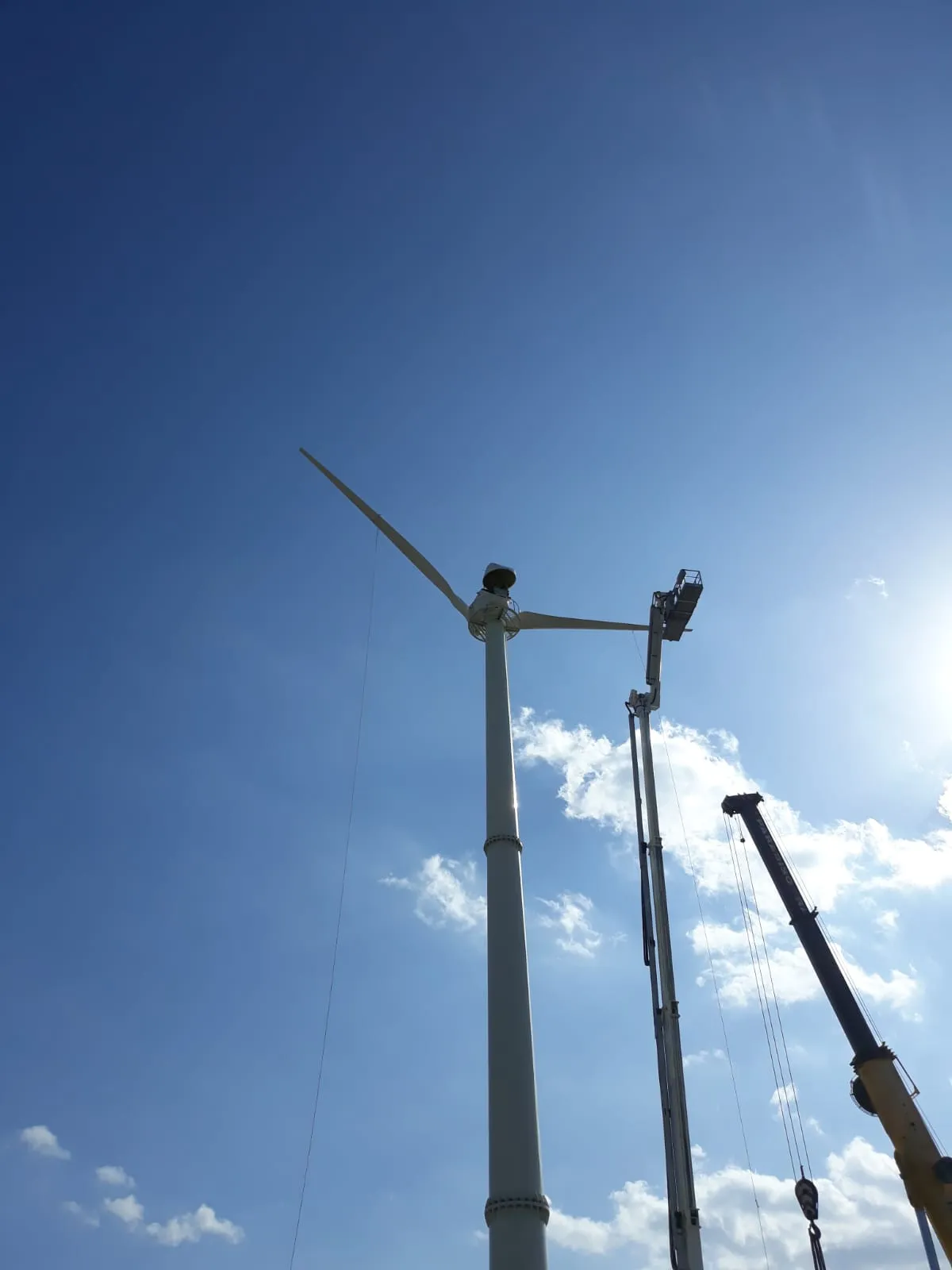 Galeriebild